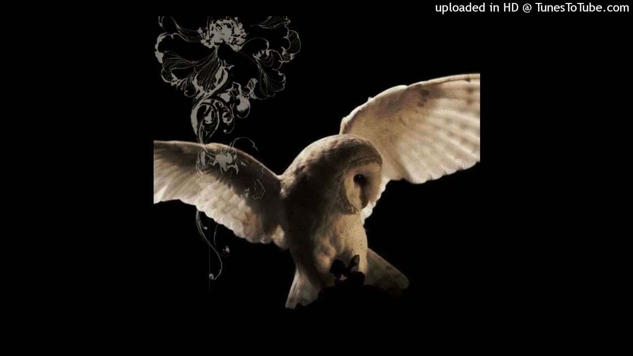 quannic x deftones x shoegaze type beat - "holy"