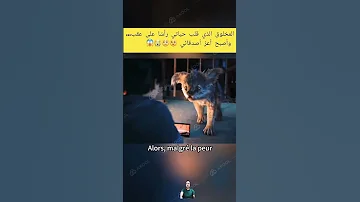 المخلوق الذي قلب حياتي رأس ا على عقب وأصبح أعز أصدقائي عالم السينما Movie Film اكسبلور رعب 