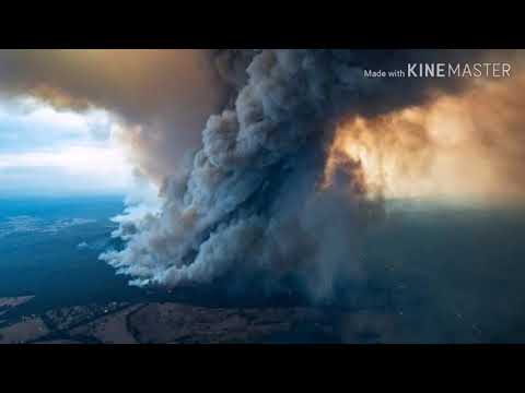 Devastating Fires In Australia