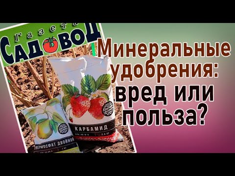 МИНЕРАЛЬНЫЕ УДОБРЕНИЯ: вред или польза