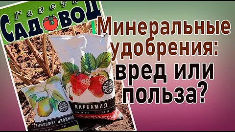 МИНЕРАЛЬНЫЕ УДОБРЕНИЯ: вред или польза