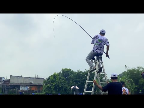 Video CẦN SĂN HÀNG BÁO ĐEN ĐỤNG ĐỘ TRẮM ĐEN KHỦNG TẠI HỒ... - youtube