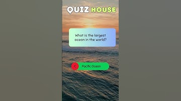 ⏳ Beat the Clock: Quiz Challenge! how many you get right? #foryou #fyp #trending #viral #quiz #learn