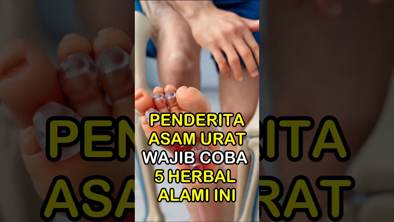 Penderita Asam Urat Wajib Coba 5 Herbal Ini #permanacuy