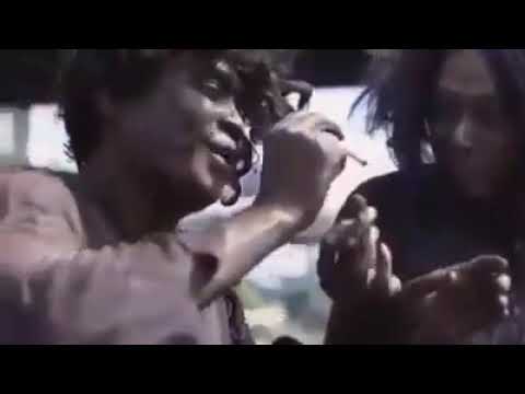 Lagu daun ganja