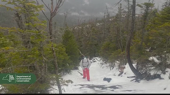 DEC Forest Rangers rescue Schenectady teen from Algonquin Peak