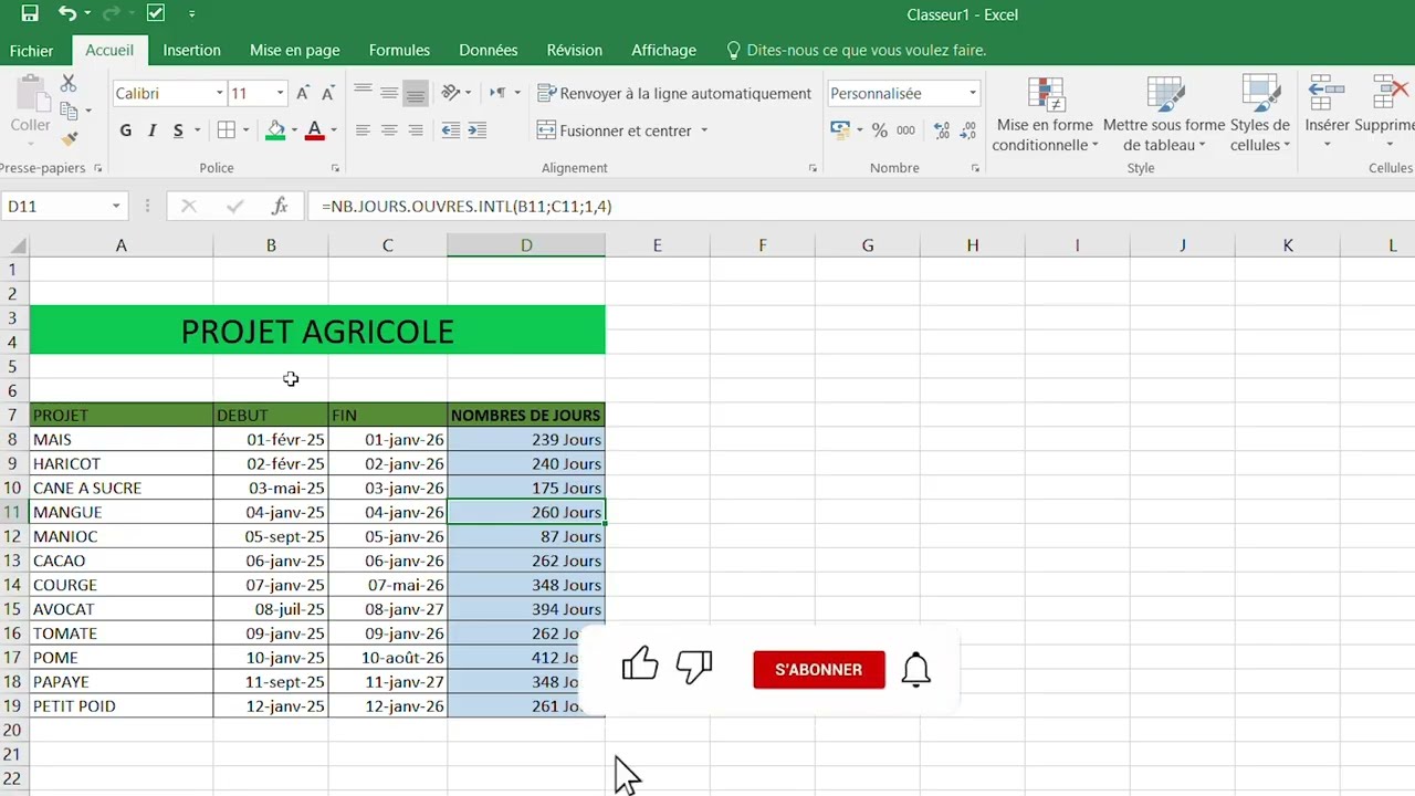 Formation complète excel gestion de projet (chronogramme) 