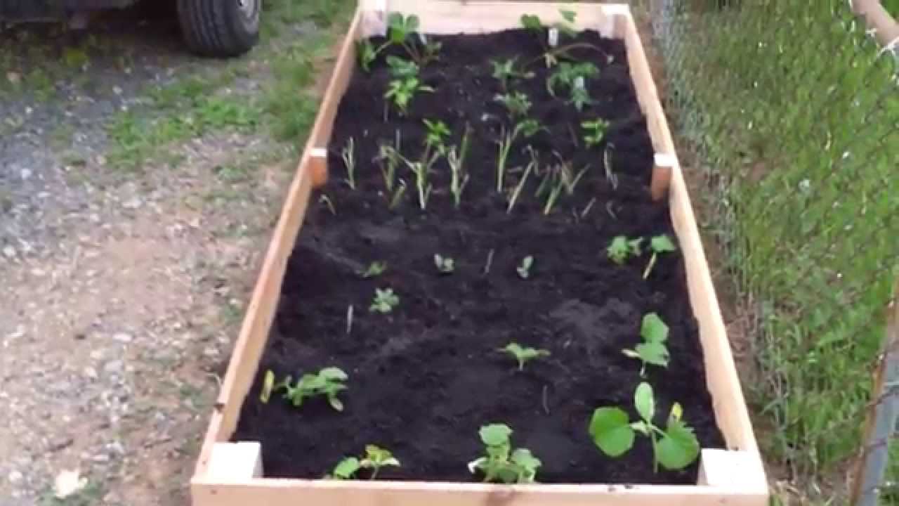 DYI- Building an above ground Planter Box... - YouTube