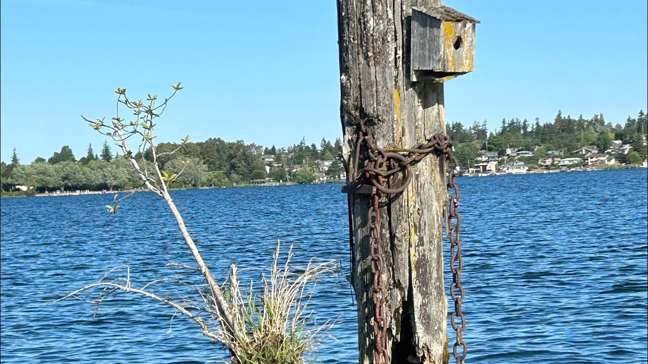 Winter bass fishing in the PNW