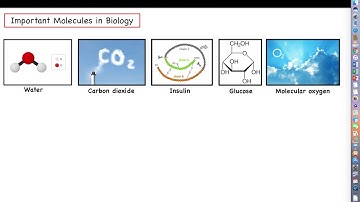 Intro to Biotechnology - Chapter 2 Lecture Part 1 -  Organisms and Their Components