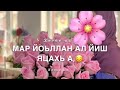 сан хьоме нана❤❤❤❤