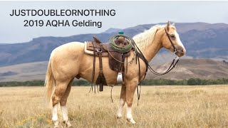 Double Or Nothing “Deets” Pitchfork Horse Sale 2023