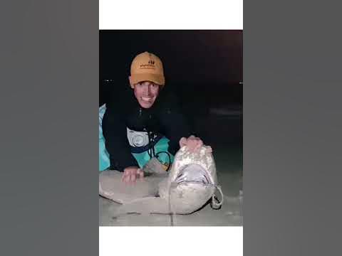 Shark Fishing Western Australia Teaser - YouTube