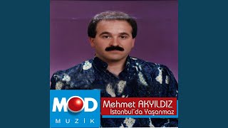 Gene Geldi Yaz Başı