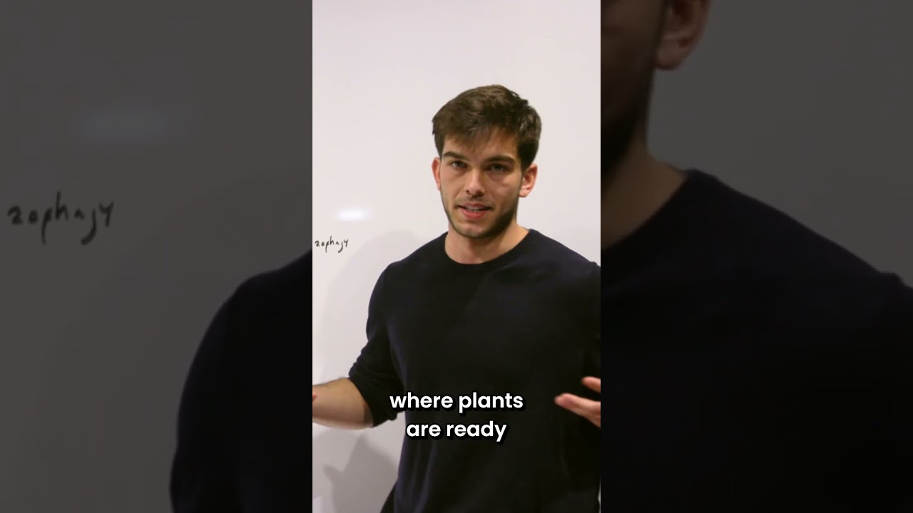 Rhizosphere in Plant Growth 