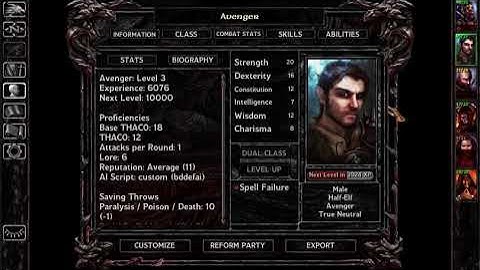 Baldurs Gate 3.5: Mulahey