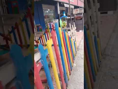 نخلة مول فرجيوة