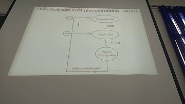 Dược lý 2: Hormon tuyến thượng thận cô Trang