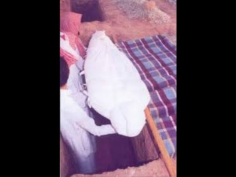 Qiso Dhab Ah Wiil 30 Kadib Qabriga Laga Soo Saaray Kadib Maxa Dhacay