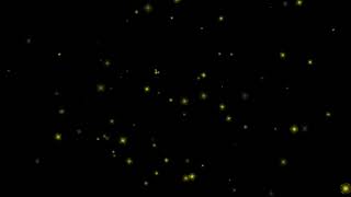 Firefly Footage 2 - Футаж Светлячки 2
