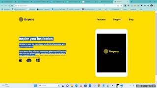 33 Tinyone   feature section