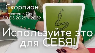 :  2025 - 2039 :      ! |    -  