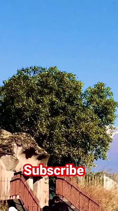 Chal Chaiya Chaiya | 4K Video Song | Dil Se 1998 Sapna Awasthi | Shahrukh Khan|