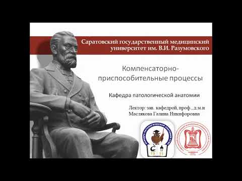 Лекция Компенсаторно-приспособительные процессы