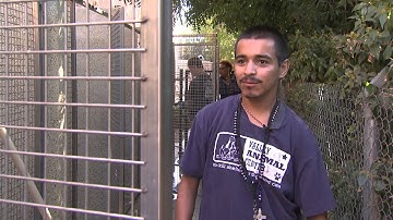 FCOE Superstar - Fresno Metro ATP