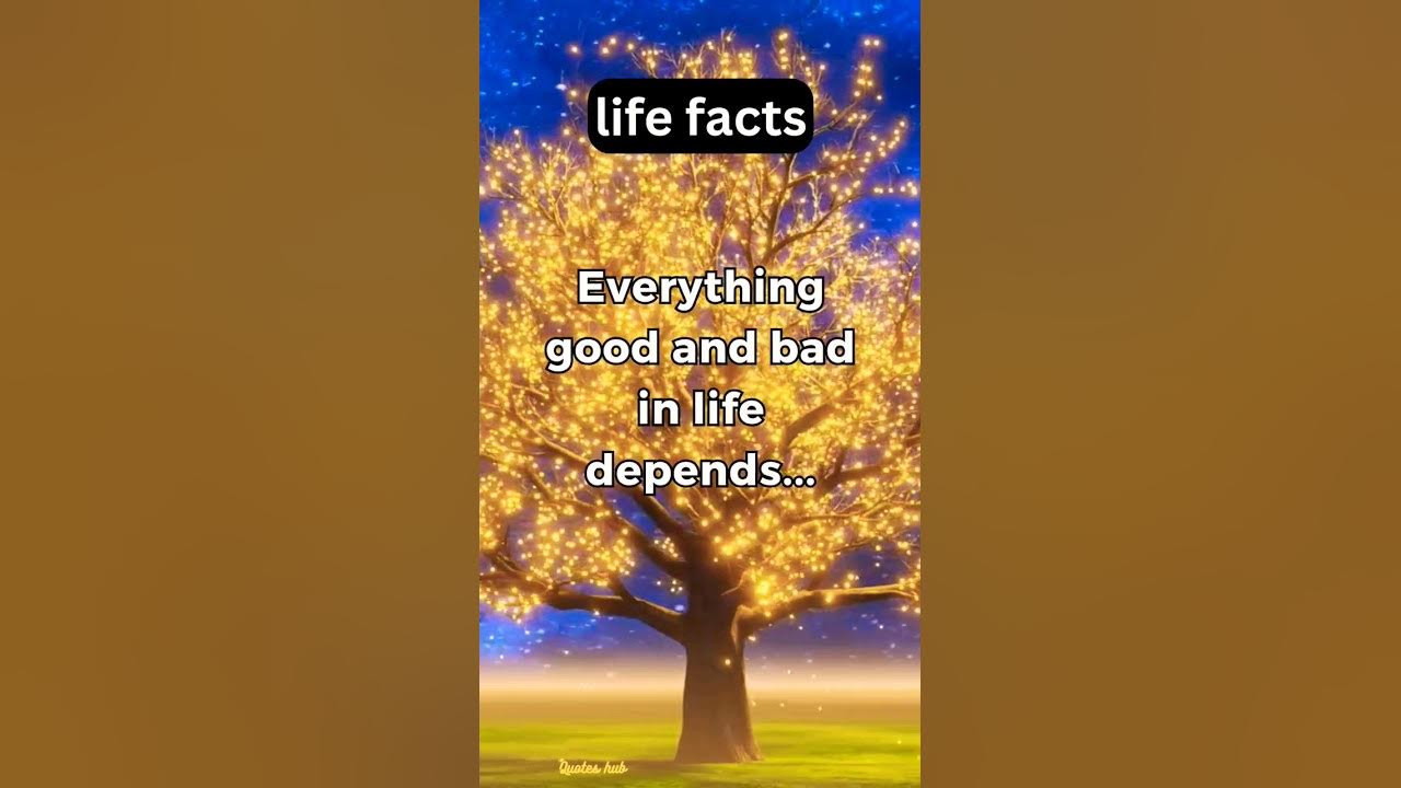 Life Facts Psychology Facts Related To Life facts psychology life-facts-psychology-facts-related-to-life-facts-psychology