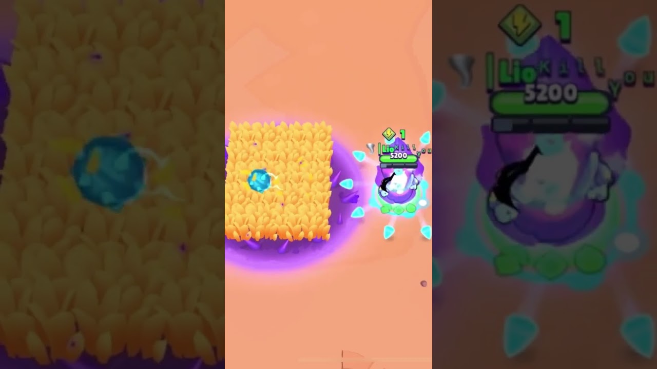 Da is ne Shelly im Busch 