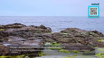 In Harmony with Pure Nature: Contemplation for Consciousness and the Soul FHD 24/7