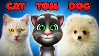 Talking Tom vs Real Cat &amp; Dog – SAME Actions! (So Funny)