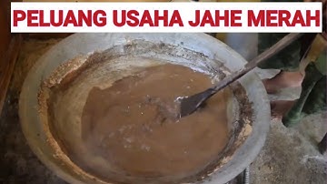 PELUANG USAHA JAHE MERAH/ JAHE MERAH POTENSI EXPORT