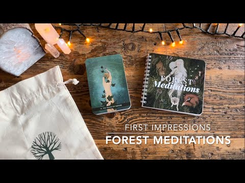 First Impressions: Forest Meditations - YouTube