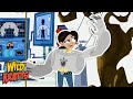 Wolverine Power and Behavior Quiz