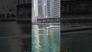 #dubaimarina #marinadubai #movingtodubai #dubai #dubailifestyle #realestateinvesting #realestate