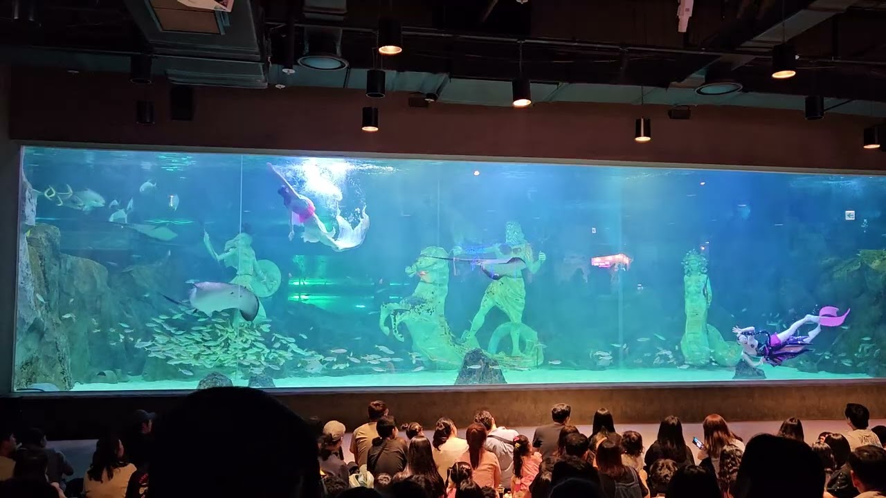 대전 엑스포 아쿠아리움 수중발레 (인어공주의 꿈)