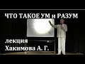 Что такое ум и разум человека, Хакимов А. Г.