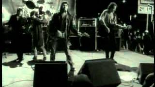 Steve Earle - Back To The Wall