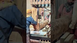 Inside the Timber Processing Behind Strong Furniture &amp; Construction Work