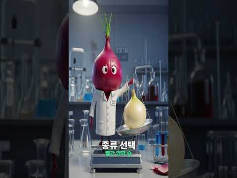 🧅빨간양파 노화된 세포 배출 돕고 건강 상태 개선하는 비결 #빨간양파효능