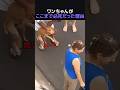 ワンちゃんがここまで必死だった理由