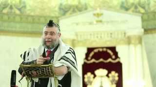 День независимости Израиля - как молиться иудею?! Урок р. П. Гольдшмидта (6.5.14) День независимости Израиля - как молиться иудею?! Урок р. П. Гольдшмидта (6.5.14)