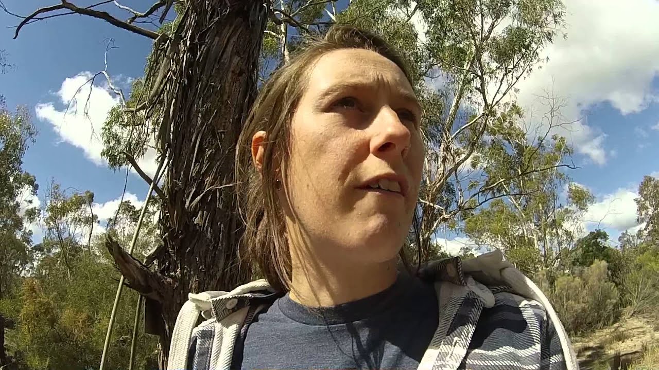 Scabby wwoof farm - PART 1