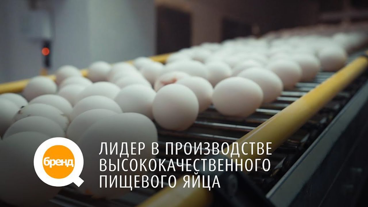 «Q-бренд». Лидер в производстве высококачественного пищевого яйца