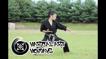 Tang Soo Do Form - Jin Do - Martial Art Monday