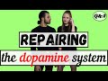 Repairing the dopamine system 9mebc