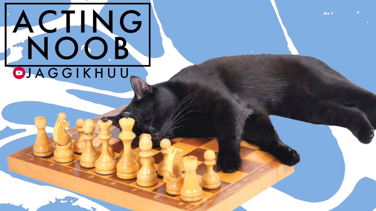 ASKING PEOPLE ON SAMAY DICORD FOR CHESS I CHESS HINDI STREAM | JAGGIKHUU