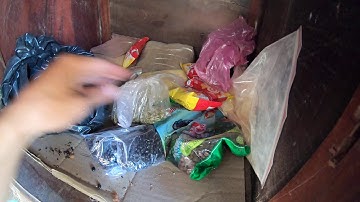 Bài Mồi Ngũ Cốc Chuyên Câu Cá Trôi, Chép, Trắm và rô phi Đã Thử Nghiệm Hiệu Quả Và Vi Diệu. #73